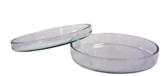 CAJAS PETRI DE VIDRIO - PHYSIS
